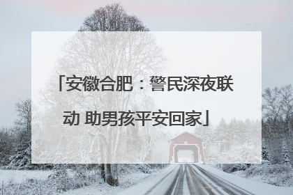 安徽合肥：警民深夜联动 助男孩平安回家