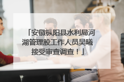 安徽枞阳县水利局河湖管理股工作人员吴曦接受审查调查！