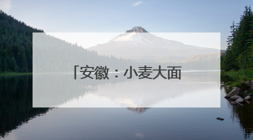 安徽：小麦大面积收获期在5月26日至6月上旬