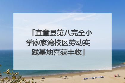 宜章县第八完全小学廖家湾校区劳动实践基地喜获丰收