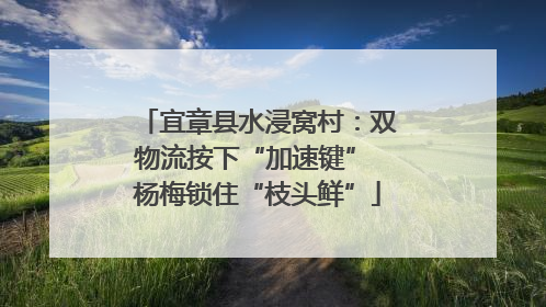 宜章县水浸窝村：双物流按下“加速键” 杨梅锁住“枝头鲜”