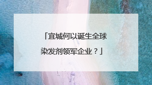 宜城何以诞生全球染发剂领军企业？