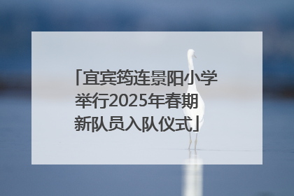 宜宾筠连景阳小学举行2025年春期新队员入队仪式