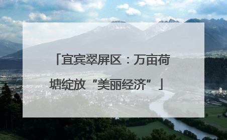 宜宾翠屏区：万亩荷塘绽放“美丽经济”
