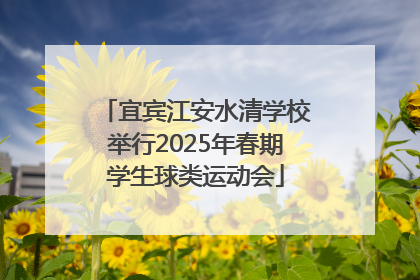 宜宾江安水清学校举行2025年春期学生球类运动会