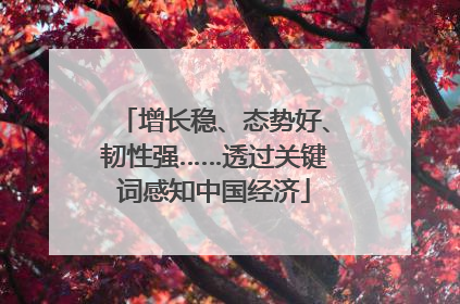 增长稳、态势好、韧性强……透过关键词感知中国经济