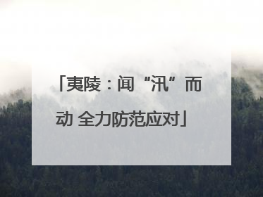 夷陵：闻“汛”而动 全力防范应对