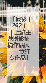 夏影（262）｜上游主题摄影征稿作品展——黄红专作品
