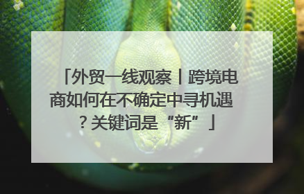 外贸一线观察丨跨境电商如何在不确定中寻机遇？关键词是“新”