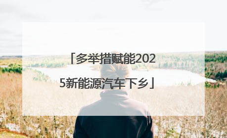 多举措赋能2025新能源汽车下乡