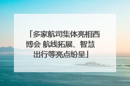 多家航司集体亮相西博会 航线拓展、智慧出行等亮点纷呈