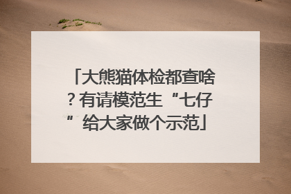 大熊猫体检都查啥？有请模范生“七仔”给大家做个示范