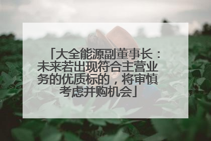 大全能源副董事长：未来若出现符合主营业务的优质标的，将审慎考虑并购机会