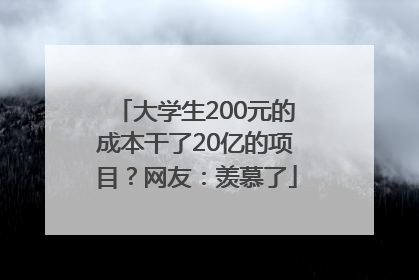 大学生200元的成本干了20亿的项目？网友：羡慕了