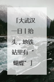 大武汉一日丨抬头，地铁站里有“蝴蝶”