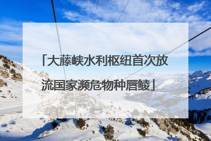 大藤峡水利枢纽首次放流国家濒危物种唇鲮