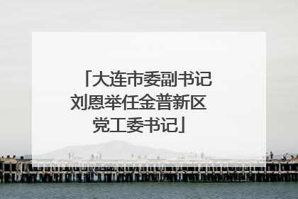 大连市委副书记刘恩举任金普新区党工委书记