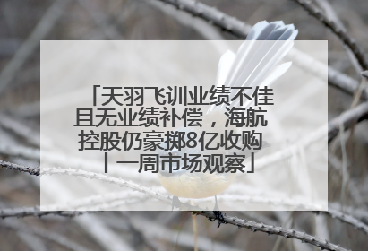 天羽飞训业绩不佳且无业绩补偿，海航控股仍豪掷8亿收购丨一周市场观察