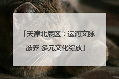 天津北辰区：运河文脉滋养 多元文化绽放