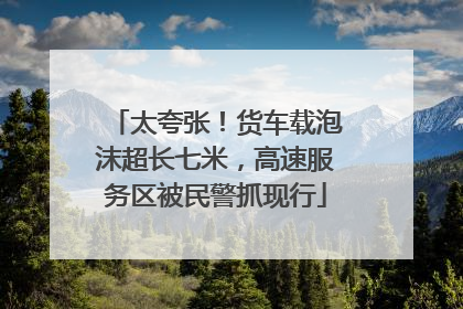 太夸张！货车载泡沫超长七米，高速服务区被民警抓现行