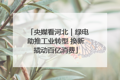 央媒看河北｜绿电助推工业转型 换新撬动百亿消费