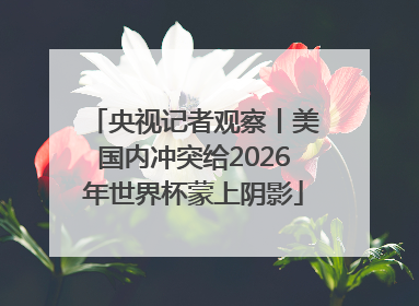 央视记者观察丨美国内冲突给2026年世界杯蒙上阴影