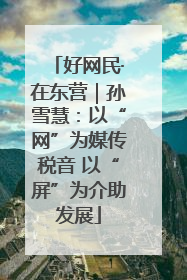 好网民·在东营｜孙雪慧：以“网”为媒传税音 以“屏”为介助发展