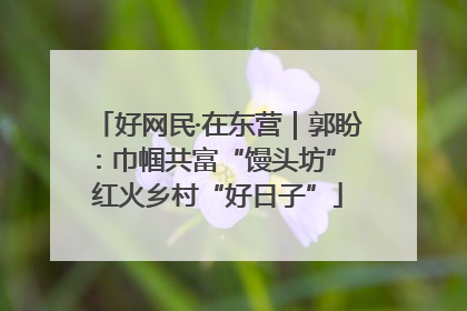 好网民·在东营｜郭盼：巾帼共富“馒头坊” 红火乡村“好日子”