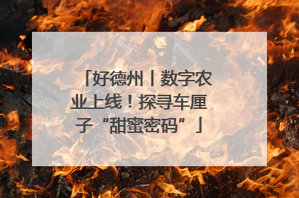 好德州丨数字农业上线！探寻车厘子“甜蜜密码”