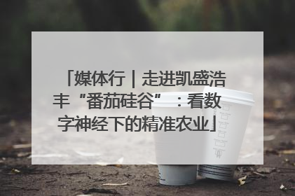 媒体行｜走进凯盛浩丰“番茄硅谷”：看数字神经下的精准农业