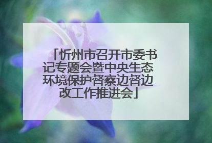 忻州市召开市委书记专题会暨中央生态环境保护督察边督边改工作推进会