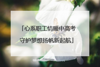 心系职工情暖中高考 守护梦想扬帆新起航