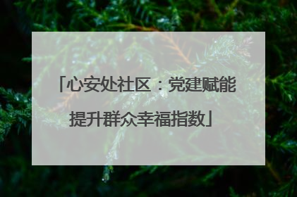 心安处社区：党建赋能 提升群众幸福指数