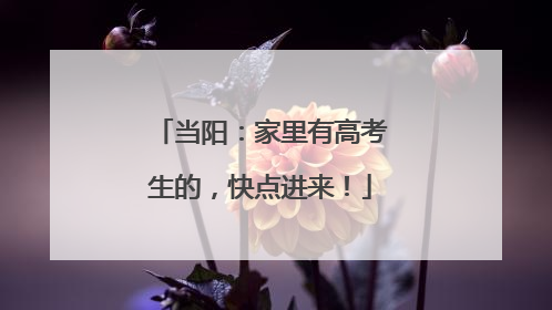 当阳：家里有高考生的，快点进来！