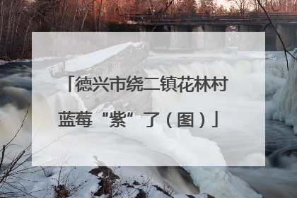 德兴市绕二镇花林村蓝莓“紫”了（图）