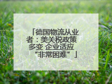 德国物流从业者：美关税政策多变 企业适应“非常困难”
