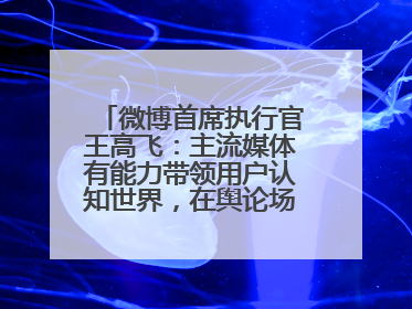 微博首席执行官王高飞：主流媒体有能力带领用户认知世界，在舆论场中搭建理性的讨论空间