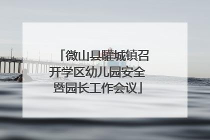 微山县驩城镇召开学区幼儿园安全暨园长工作会议