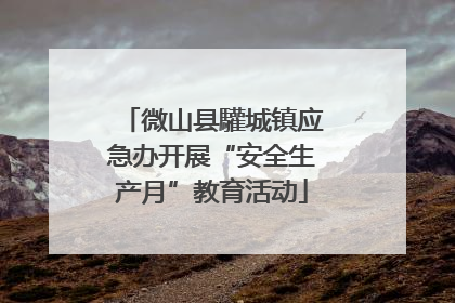 微山县驩城镇应急办开展“安全生产月”教育活动