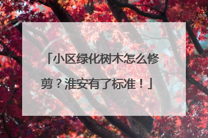 小区绿化树木怎么修剪？淮安有了标准！