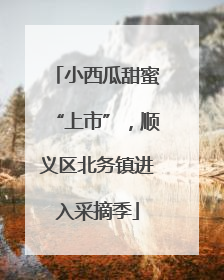 小西瓜甜蜜“上市”，顺义区北务镇进入采摘季