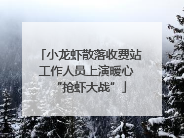 小龙虾散落收费站 工作人员上演暖心“抢虾大战”