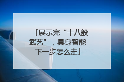 展示完“十八般武艺”，具身智能下一步怎么走