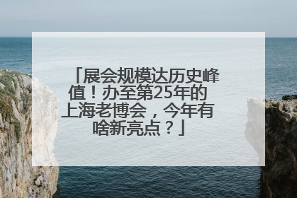 展会规模达历史峰值！办至第25年的上海老博会，今年有啥新亮点？