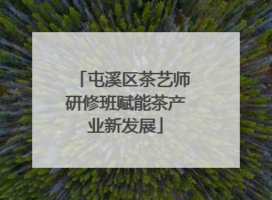 屯溪区茶艺师研修班赋能茶产业新发展