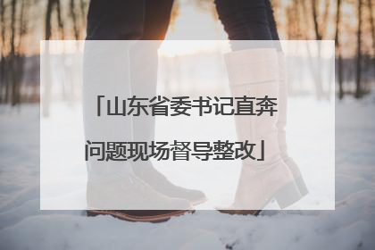 山东省委书记直奔问题现场督导整改