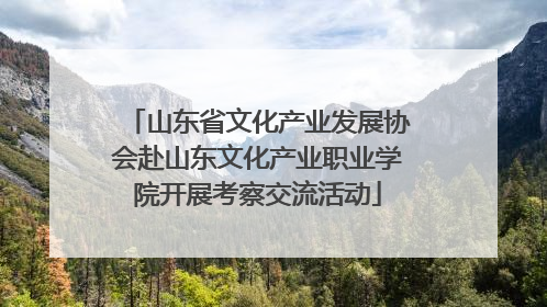 山东省文化产业发展协会赴山东文化产业职业学院开展考察交流活动