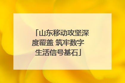 山东移动攻坚深度覆盖 筑牢数字生活信号基石