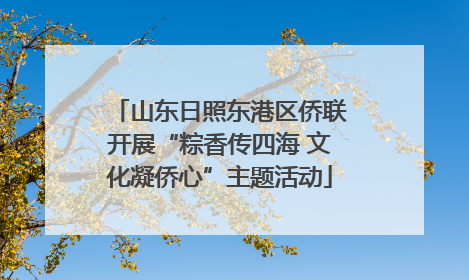山东日照东港区侨联开展“粽香传四海 文化凝侨心”主题活动