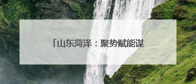 山东菏泽：聚势赋能谋发展 协同支农谱新篇